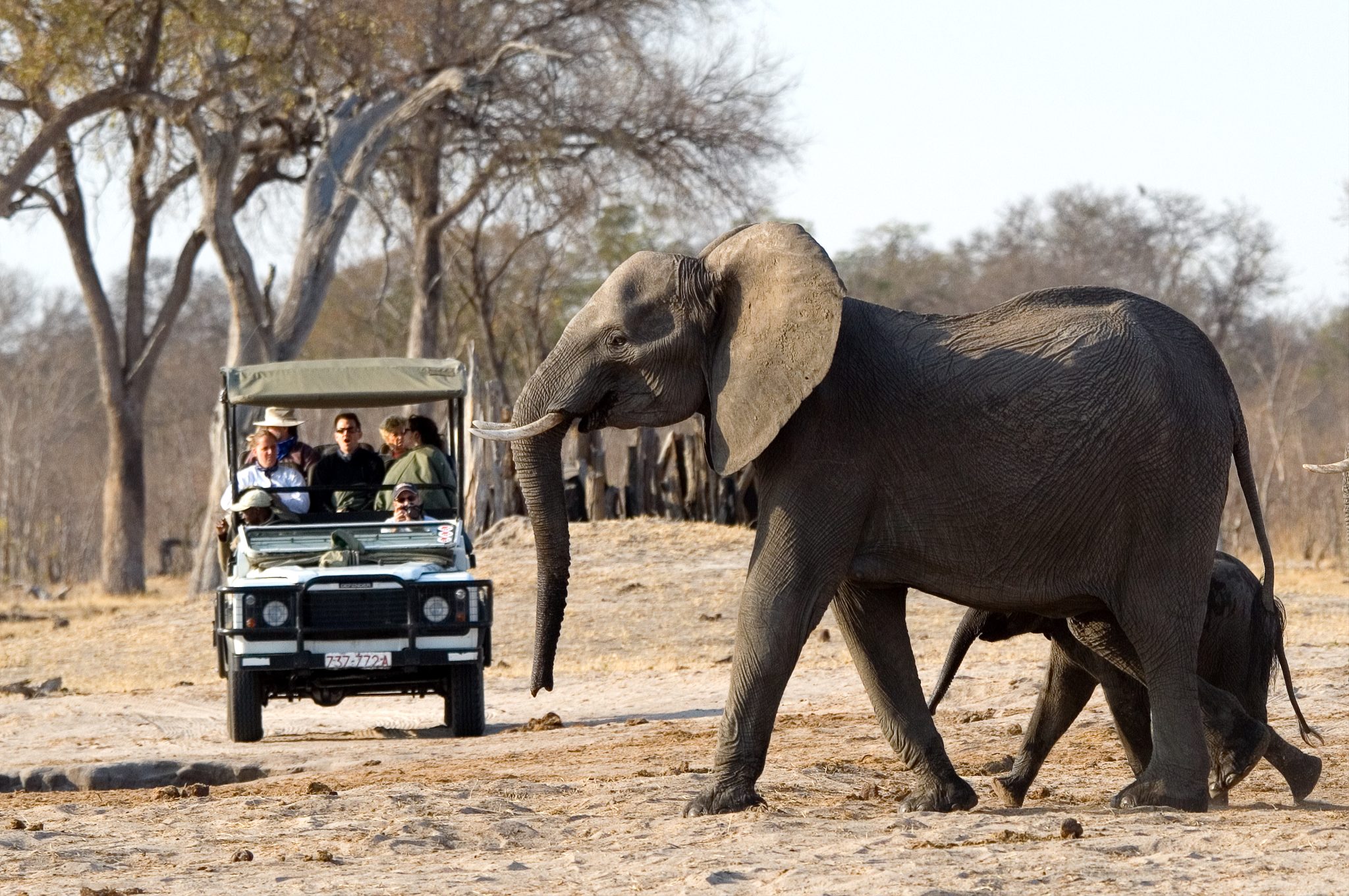 Makololo27-2048x1360