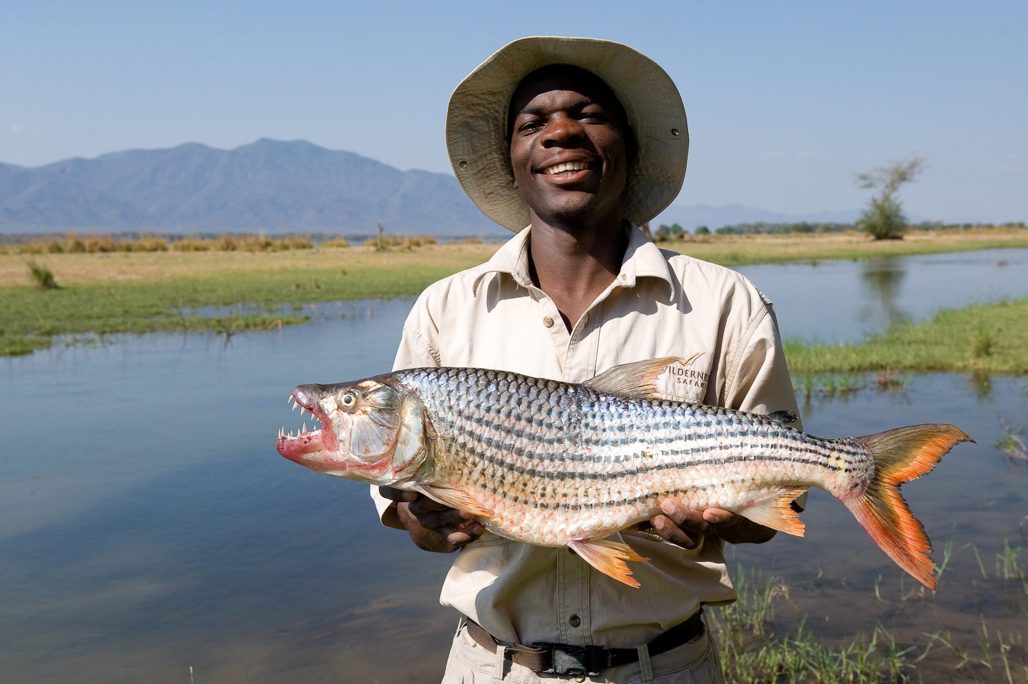 Rukomechi260-2048x1363